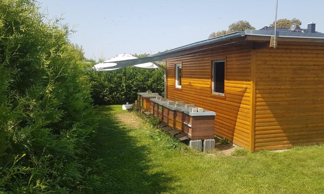 Ferienhaus Zum Imker Фельтен Экстерьер фото